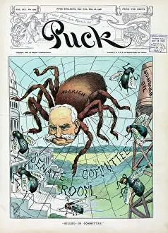 Cobweb: Killed in committee