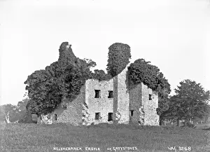 Partially: Killencarrick Castle Nr. Greystones
