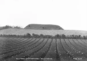 Ploughed: Killybegs Earthen fort, Ballymena