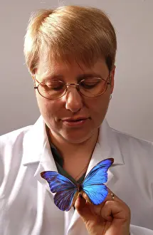 Brush Footed: Kim Goodger with butterfly specimen