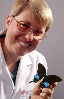 Swallowtail: Kim Goodger with butterfly specimen