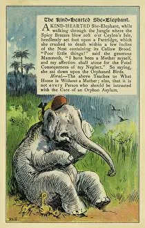 Litrature: The kind-hearted she elephant