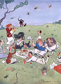 Wasps: One Kind of Picnic - Another by H. M. Bateman 2 of 2