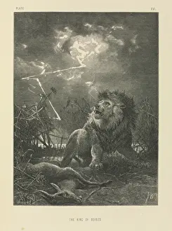 Cervidae: The King of Beasts