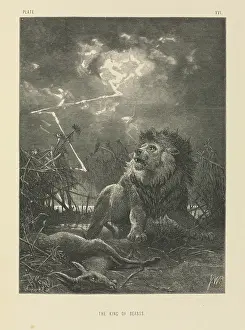 Epitheria: The King of Beasts