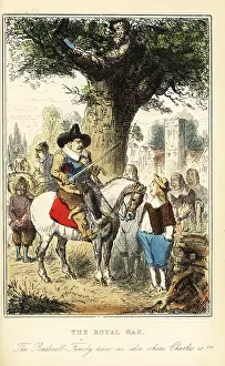 Abeckett: King Charles II hiding up an oak tree in Boscobel