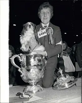 Crufts: King Charles Spaniel champion at Crufts