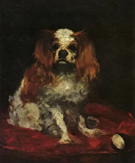 Canines: A King Charles Spaniel, by Manet
