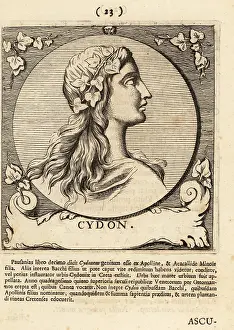 Gods And Heroes: King Cydon of Crete
