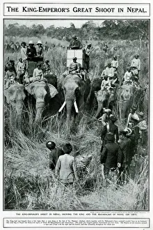 Howdah: King Emperor's great shoot in Nepal 1911