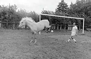 Goalposts: King, the football-playing stallion