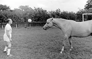 Goalposts: King, the football-playing stallion