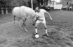 Goalposts: King, the football-playing stallion