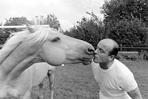 Goalposts: King, the football-playing stallion