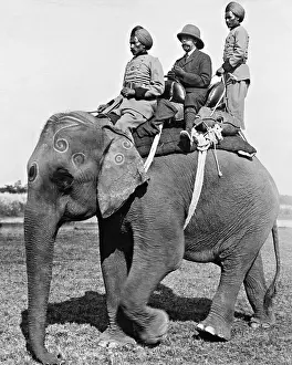 Extensive: King George V on an elephant during a hunt, 1912