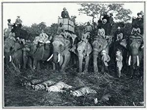 Howdah: King George V hunting