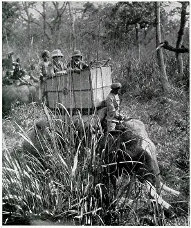 Howdah: King George V shooting expedition 1911