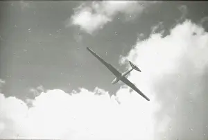 Soaring: King Kite; 3/4 front from below, soaring