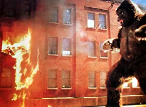 Laurentiis: King Kong