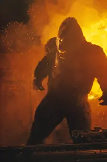 Apes: King Kong