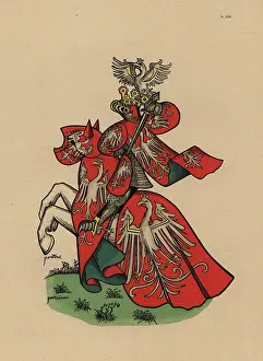 Equestre: King of Poland, roi de Pologne