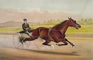 Trotter: The king of the turf St. Julien, driven by Orrin A. Hickok: