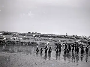 Herders: King William's Town: disused quarry