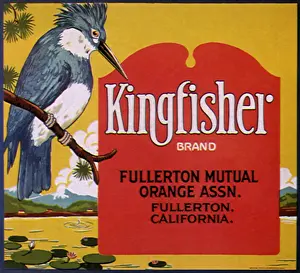 Kingfisher: Kingfisher