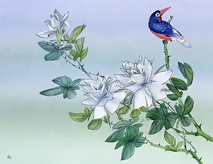 Thorny: Kingfisher amid the blossoms - Japan