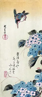 Blossoming: Kingfisher Above Hydrangea Blossoms, 19th Century