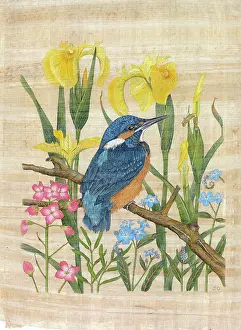 Irises: Kingfisher with Irises etc