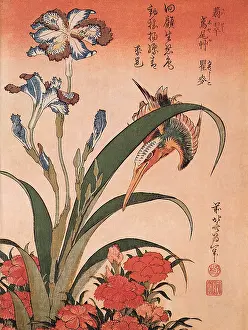 Blossoming: Kingfisher and Shaga Iris, by Hokusai