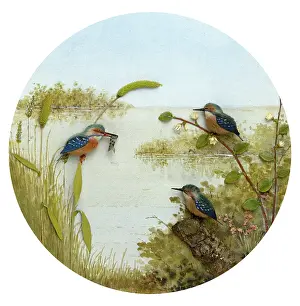 Hervey: Kingfisher and Young