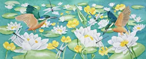 Dragonflies: Kingfishers and Waterlilies