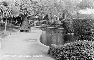 Torquay: King's Gardens in Torquay