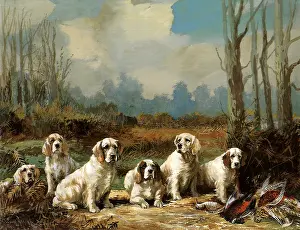 Sandringham: King's Spaniels