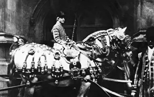 Blinkers: King's State Harness for State Coach
