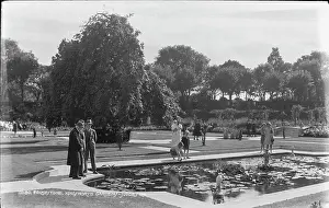 Lilies: Kingsnorth Garden in Folkestone