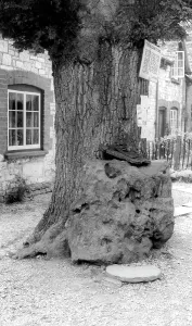 Lisle: Kingston Lisle, the Blowing Stone c1965