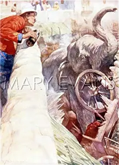 Berserk: KIPLING ELEPHANT 1932