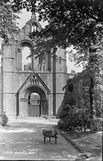 Stonework: Kirkstall Abbey Ruins