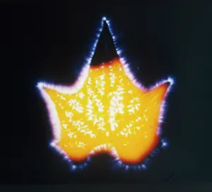 Guy Lyon Playfair: Kirlian photography