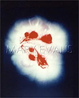 Rosebud: Kirlian photography: a rosebud