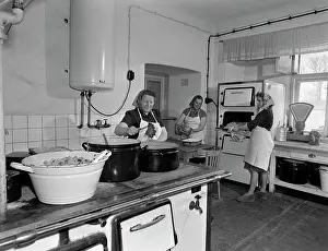 Nosek: Kitchen - cooking - cooks - meal - lunch
