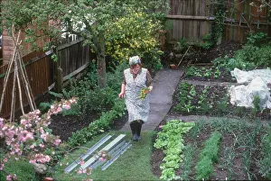 Encouraged: KITCHEN GARDEN 1940S