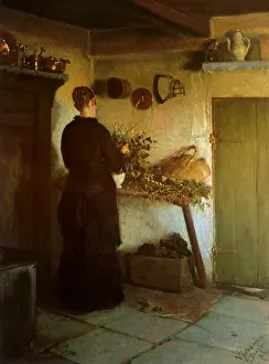 Viggo: Kitchen Interior