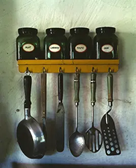 Spatula: Kitchen utensils hanging below a spice rack with mint, caraw