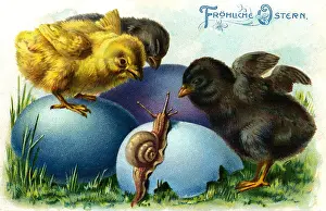 Hatched: kitsch / souvenir, greetings card, Happy Easter