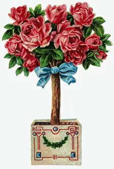 Chromos: kitsch / souvenir, rose tree, Germany, circa