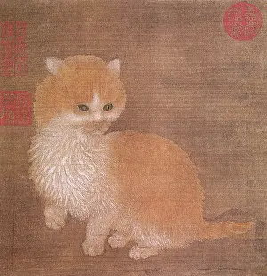 Fuzzy: Kitten